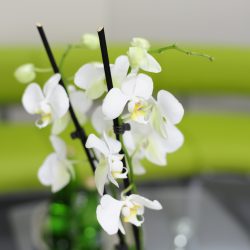 klinika stomatologiczna dentysta warszawa, stomatologia warszawa